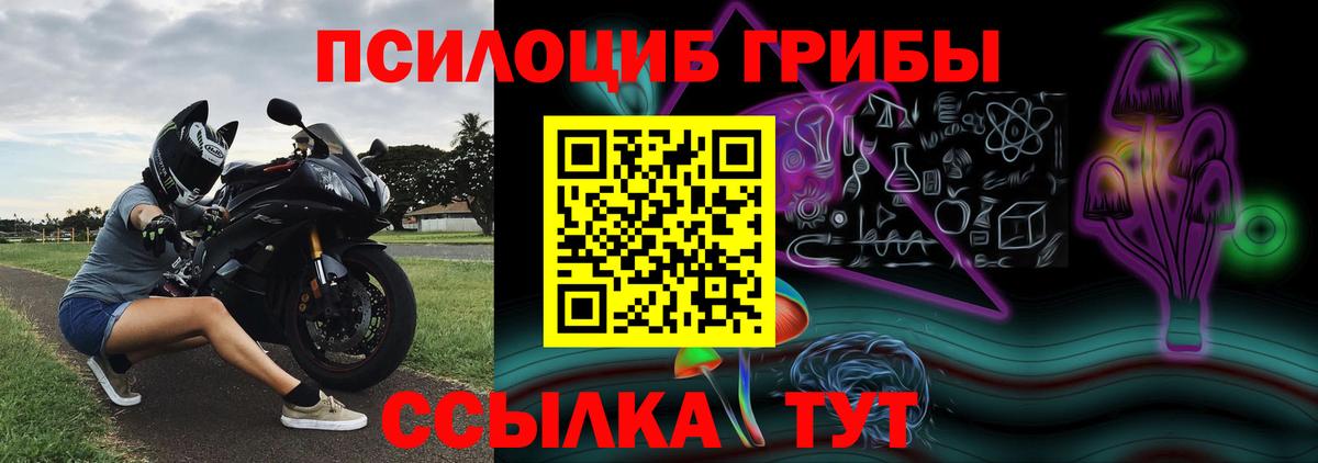Псилоцибиновые грибы Psilocybe Губаха