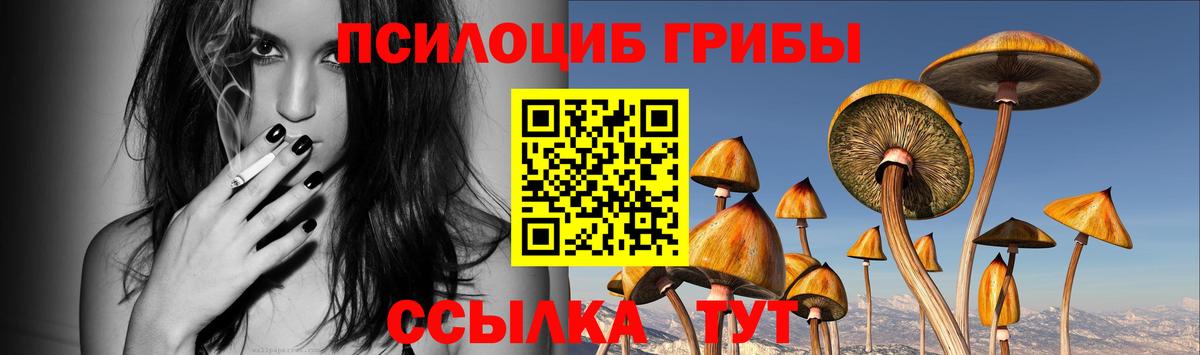 Губаха  Галлюциногенные грибы MAGIC MUSHROOMS  закладки  Вход с VPN 